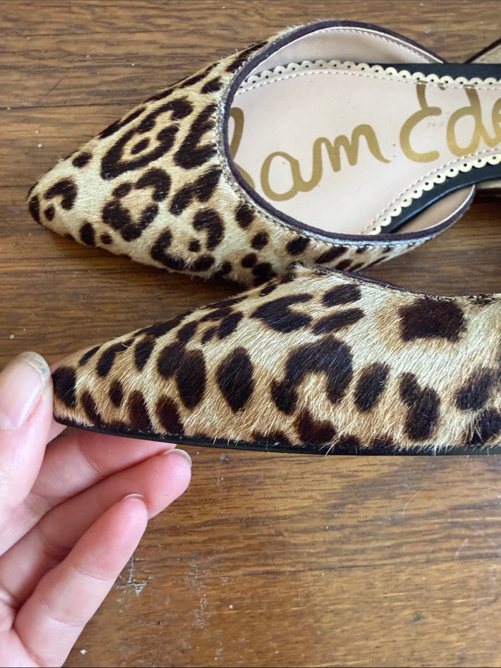 Sam Edelman Leopard Print Pointed Toe Flats - Picture 5 of 7